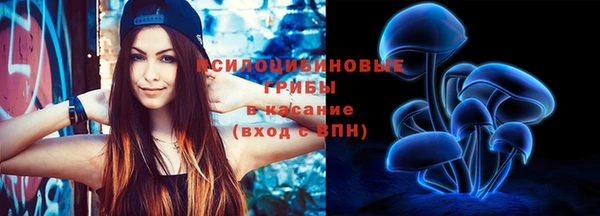 эйфоретик Абинск