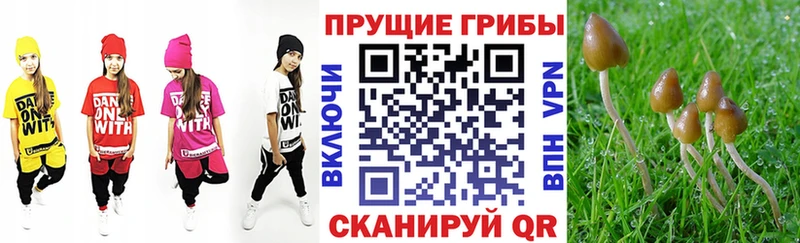 мега ССЫЛКА  хочу наркоту  Дубна  Псилоцибиновые грибы мицелий 