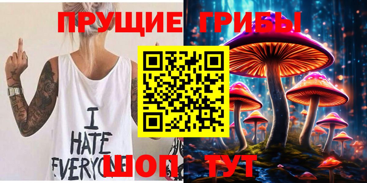Галлюциногенные грибы Psilocybe Дубна