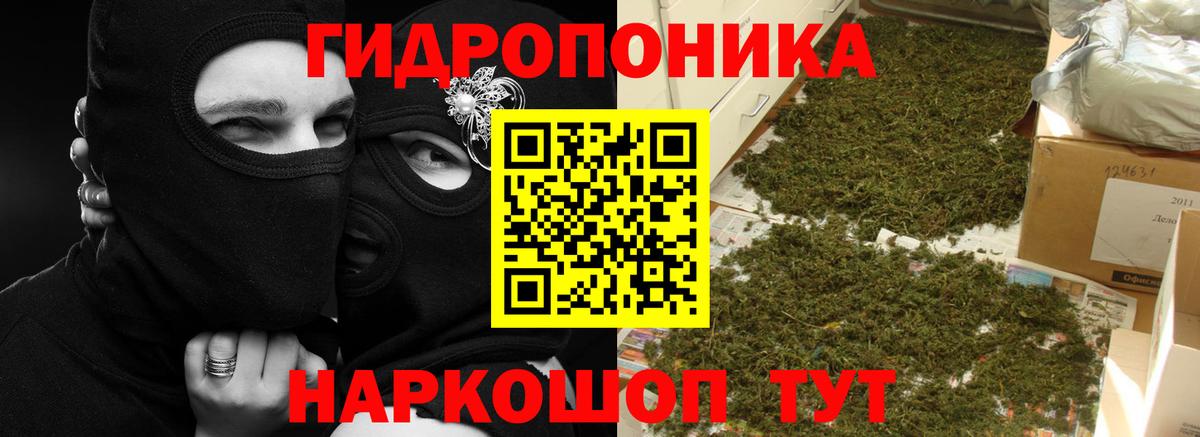 Бошки Шишки Ganja Дубна